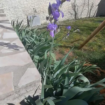 Apartmán Les Iris 34 Doublon