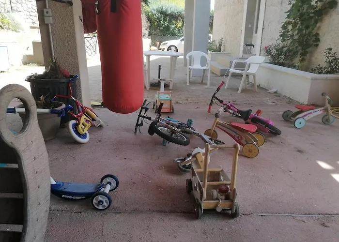 Les Iris 34 Doublon *